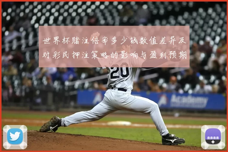 世界杯赌注倍率多少钱数值差异及对彩民押注策略的影响与盈利预期