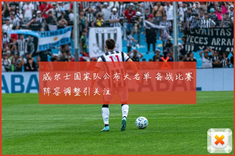 威尔士国家队公布大名单 备战比赛阵容调整引关注