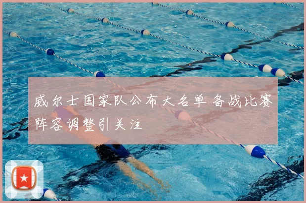 威尔士国家队公布大名单 备战比赛阵容调整引关注