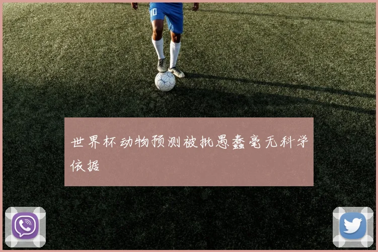 世界杯动物预测被批愚蠢毫无科学依据